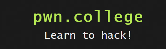 pwncollege-shellcode injection